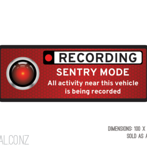 Tesla Sentry Mode Warning Camera Recording Rectangle (Pair)